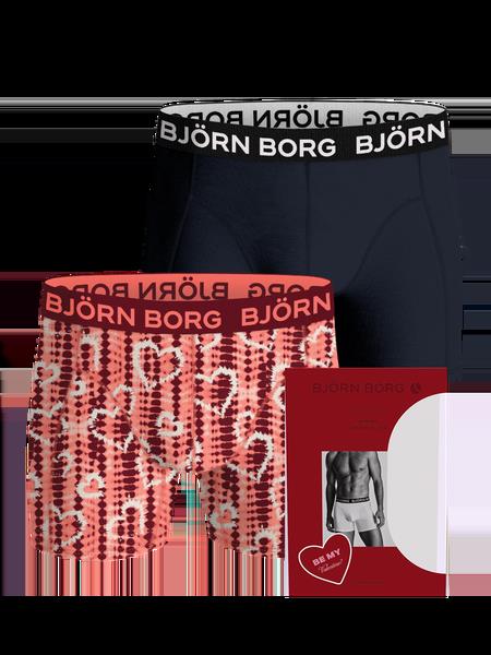 Björn Borg Bamboo Cotton Blend Boxers 2-pack Multi, L