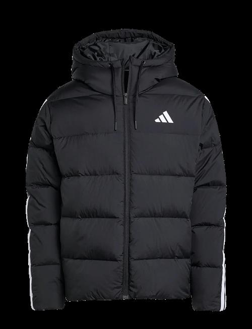 adidas Sportswear | Ess 3S P D Hd J | L