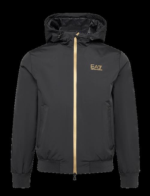 EA7 | Bomber Jacket | L