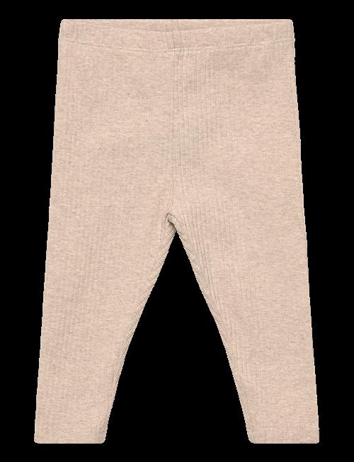 Mango | Cotton Ribbed Leggings | 110
