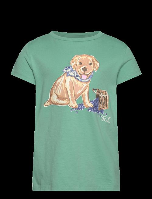 Ralph Lauren Kids | Dog-Print Cotton Jersey Tee | 154-158