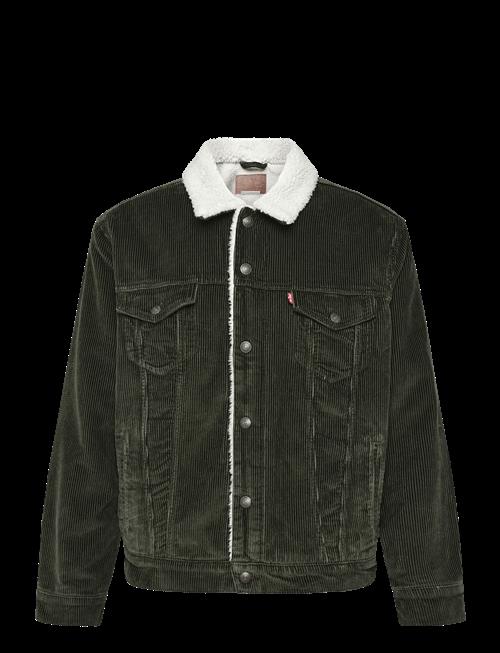 Levi's® | Type 3 Sherpa Trucker Rosin | XL