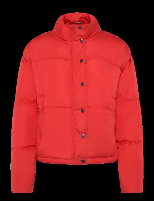 Fransa | Frebba Ja 1 | M