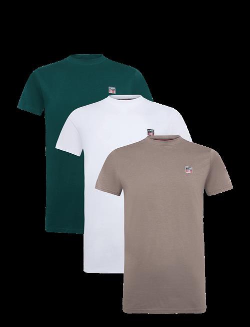 VINSON | Vin 3 Pack T-Shirt Massimo Men | L