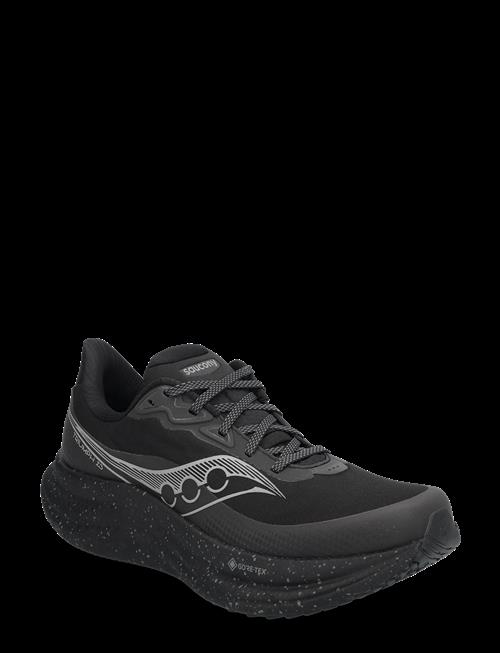 Saucony | Triumph 23 Gtx Men | 46