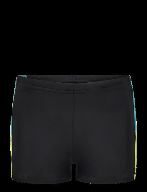 Speedo | Dive Aquashort | 164