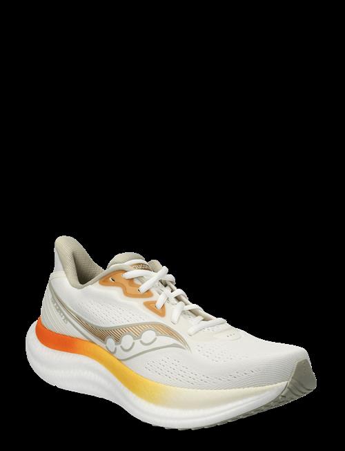 Saucony | Triumph 23 Men | 42.5