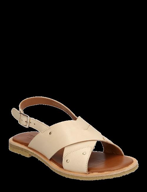Billi Bi | Trotter | 41