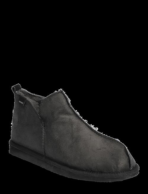 Shepherd | Anton Tofflor | 41