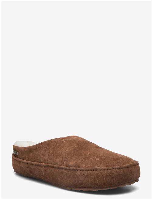 Axelda | Dundee | 43