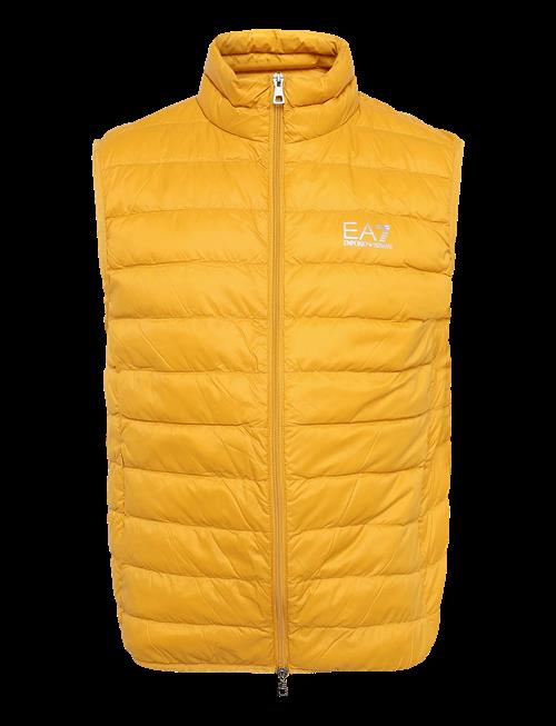 EA7 | Down Waistcoat | XL