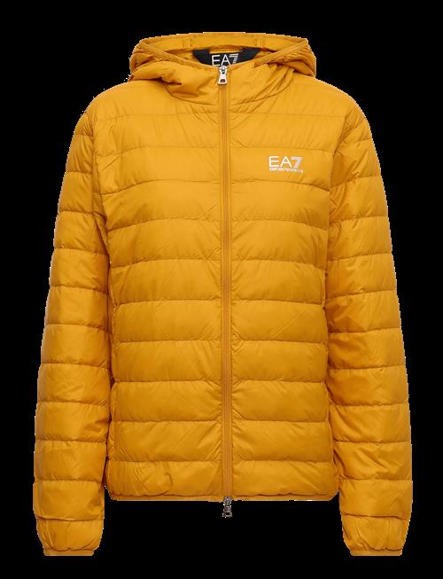 EA7 | Down Jacket | XXXL