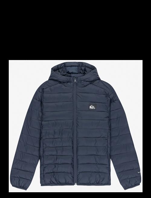 Quiksilver | Scaly Youth | 12