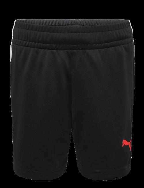 PUMA | Individualliga Training Shorts Jr | 164