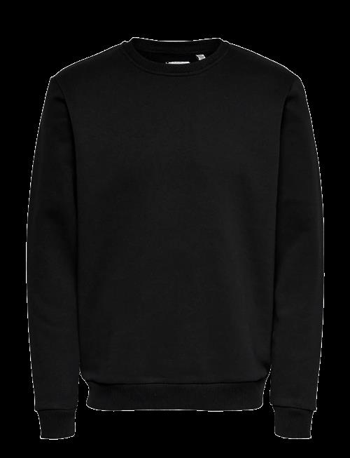 ONLY & SONS | Onsceres Crew Neck Noos | L