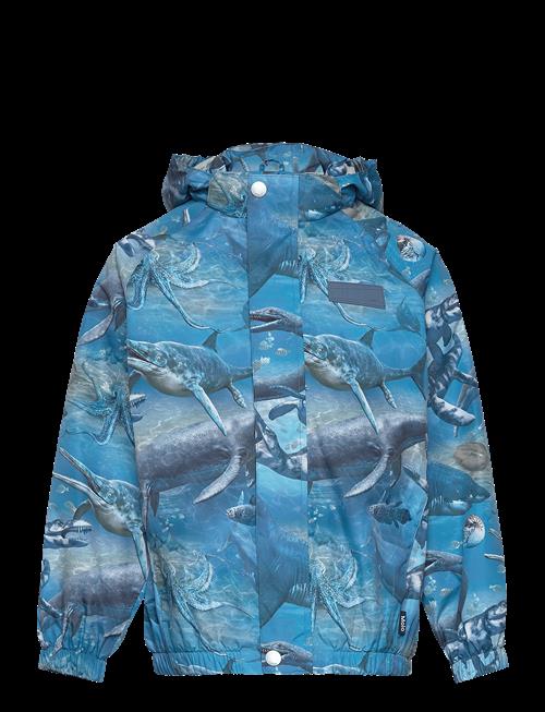 Molo | Waiton | 98-104