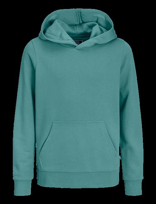 Jack & Jones | Jjebradley Sweat Hood Noos Jnr | 152