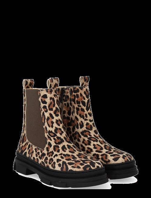 ANGULUS | Booties - Flat - With Elastic | 35
