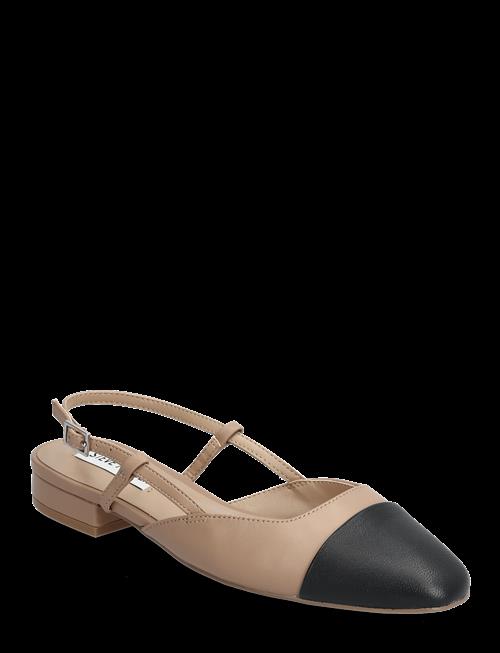 Steve Madden | Belinda Ballerina | 39