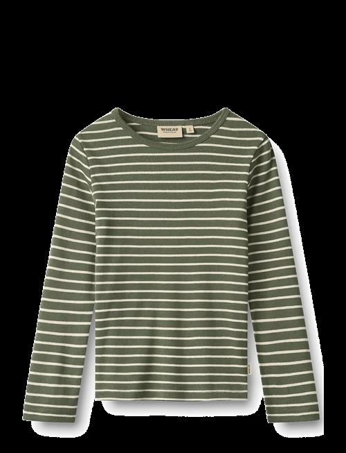 Wheat | T-Shirt L/S Stig | 116