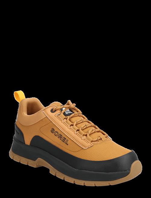 Sorel | Outing Nw Sneaker Low Wp | 41