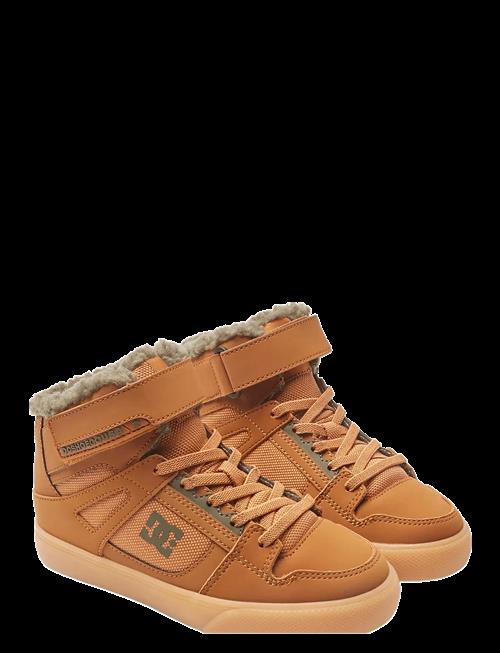 DC | Pure High-Top Wnt Ev | 37