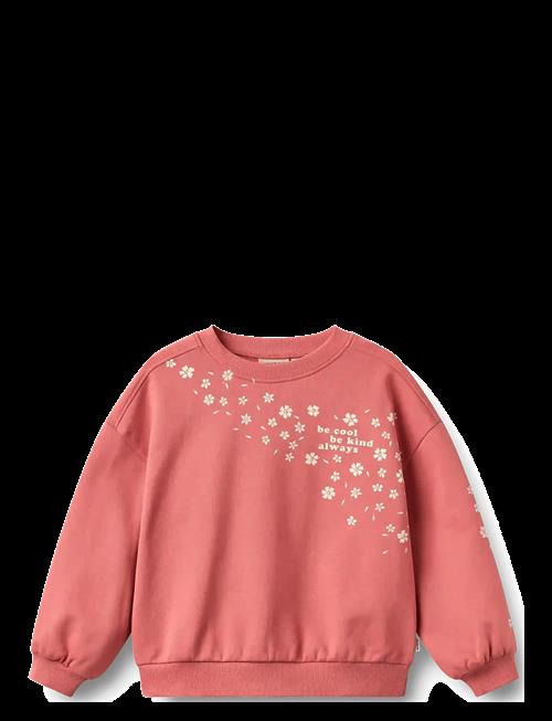 Wheat | Sweatshirt L/S Eliza | 104