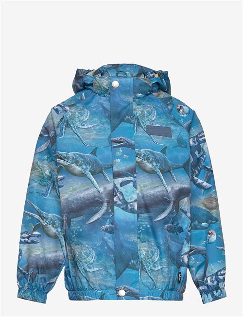 Molo | Waiton | 98-104