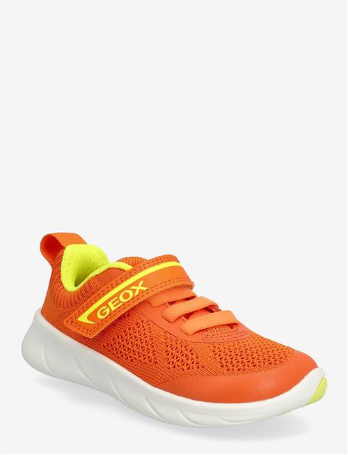 GEOX | J Foot-Run Boy B | 25