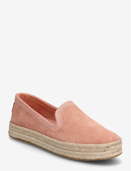 TOMS | Carolina | 39
