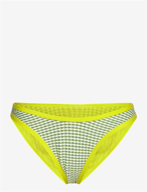 Speedo | Gingham Scoop Bottom | L