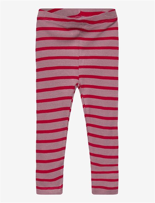 THE NEW SIBLINGS | Tnsbrie Rib Leggings | 80
