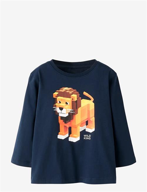 name it | Nmmsalan Ls Nreg Top | 98