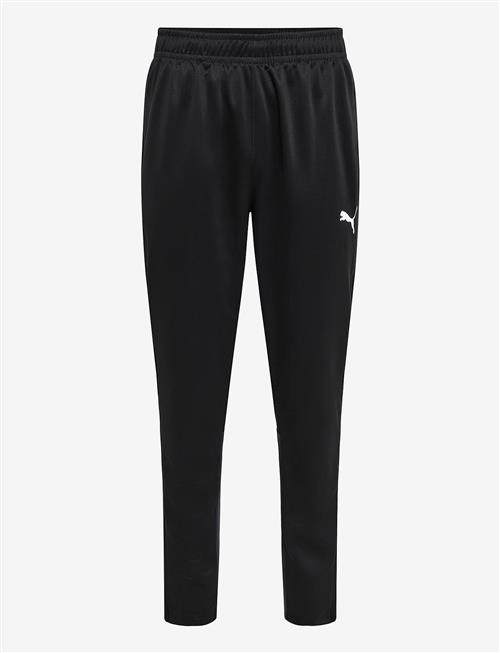 PUMA | Teamgoal Training Pant | L