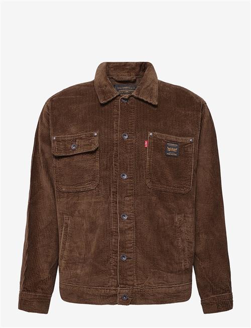 Levi's® | Sunrise Trucker Desert Palm Co | M