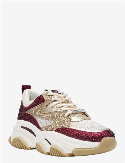 Steve Madden | Privy | 41