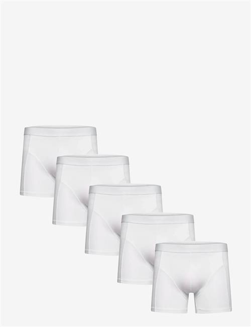 Shine Original | 5 Pack Tights | XL