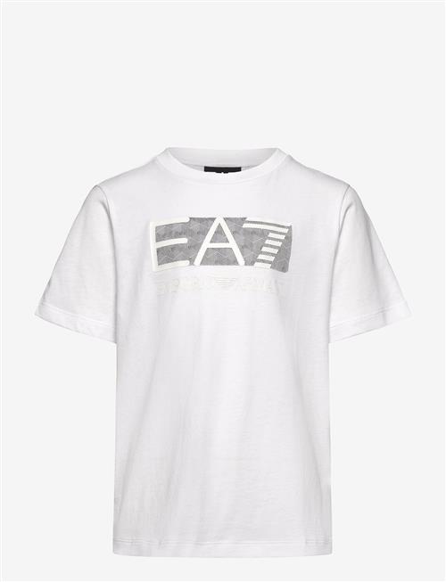 EA7 | T-Shirt | 116