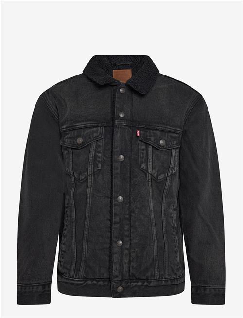 Levi's® | Relaxed Fit Sherpa Trkr At Mid | XL