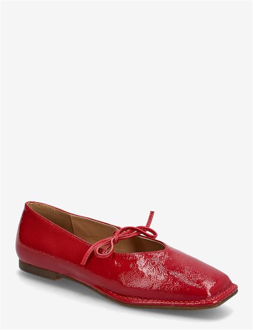 Steve Madden | Lola | 41