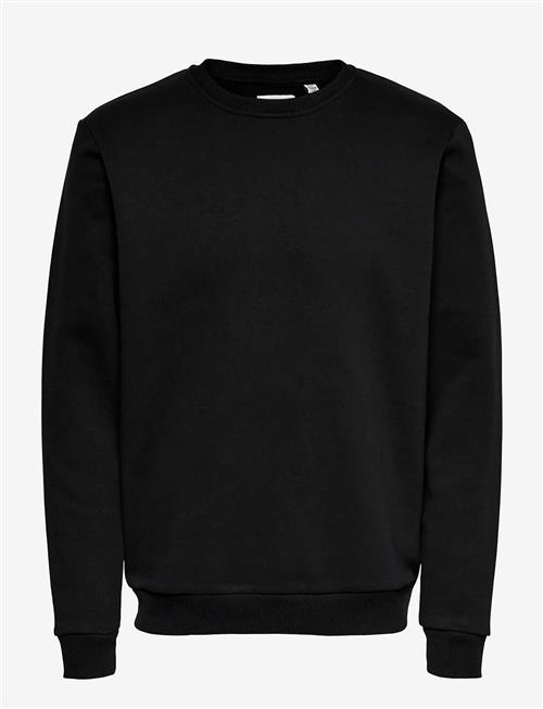 ONLY & SONS | Onsceres Crew Neck Noos | XL
