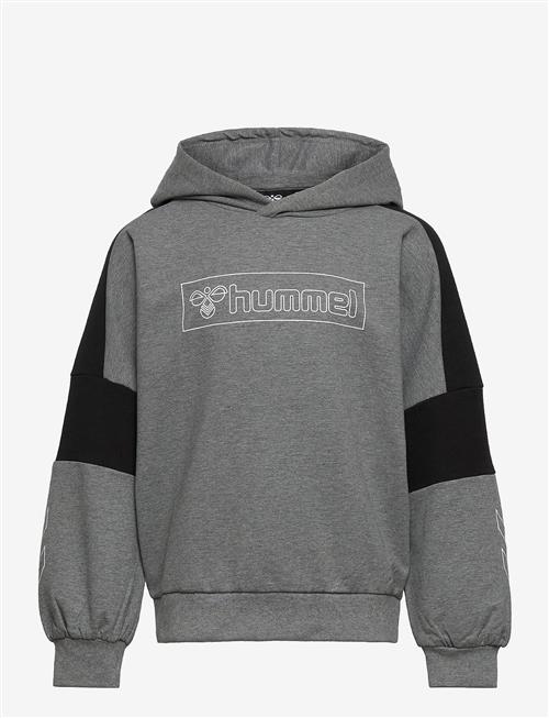 Hummel | Hmlboxline Hoodie | 116