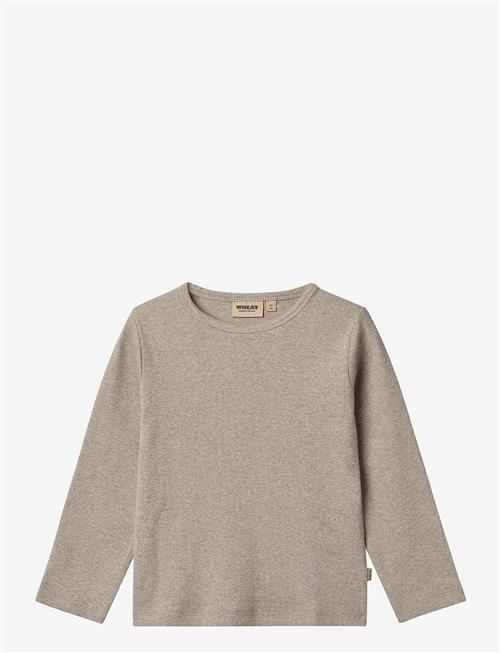 Wheat | T-Shirt L/S Milo | 116