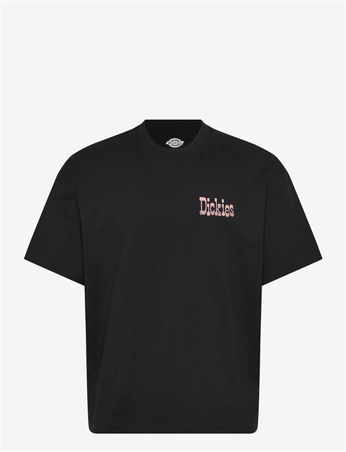 Dickies | Polk Ss Tee | M