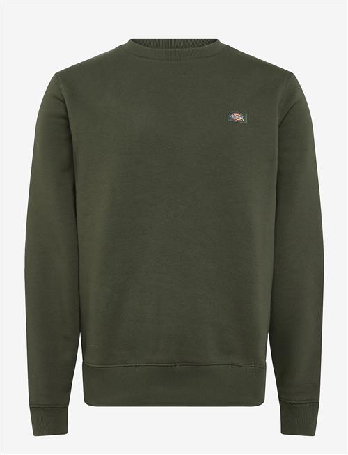 Dickies | Oakport Sweatshirt | S