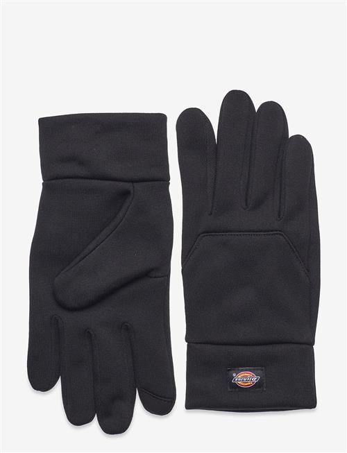 Dickies | Oakport Touch Glove | M/L