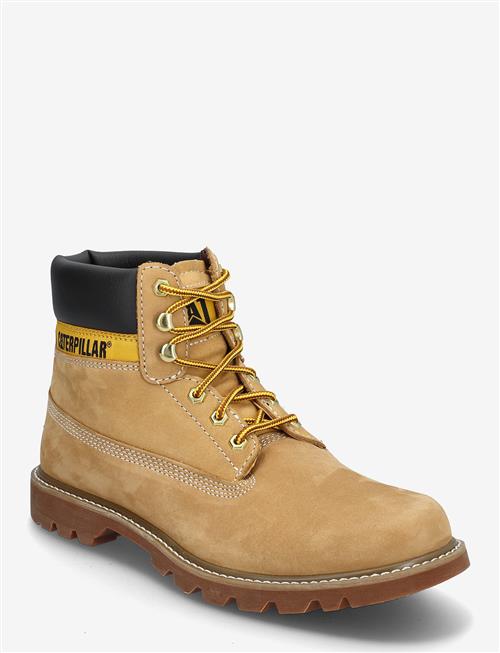 Caterpillar | Colorado 2.0 - Honey Reset | 42