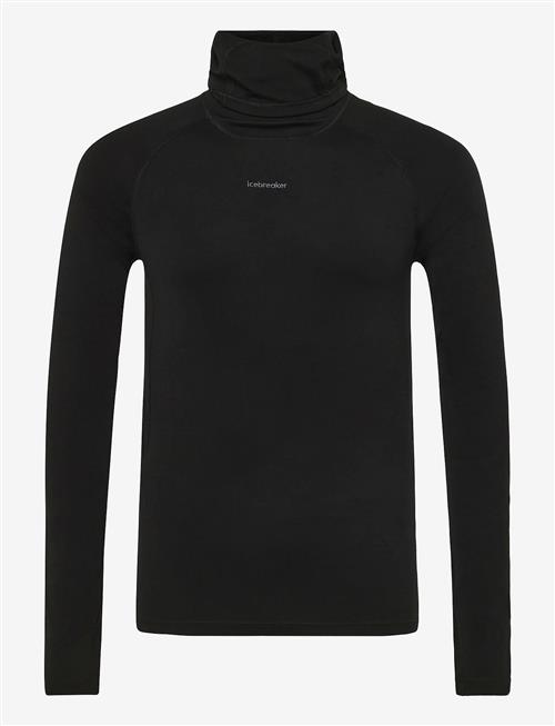 Icebreaker | M 300 Merinofine Polar Ls Roll Neck | S