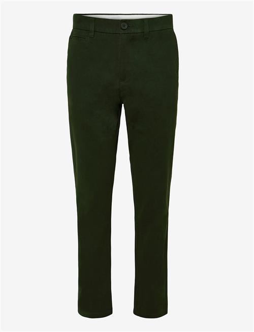 Knowledge Cotton Apparel | Chuck Regular Chino Pants | 36 x 32