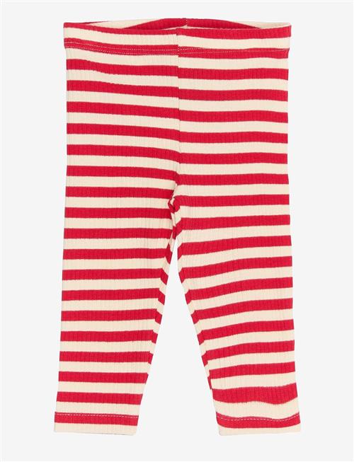 THE NEW SIBLINGS | Tnsbfro Rib Leggings | 80